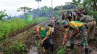 Prajurit Brigif Raider 13 Kostrad Gotong Royong Bersihkan Saluran Irigasi