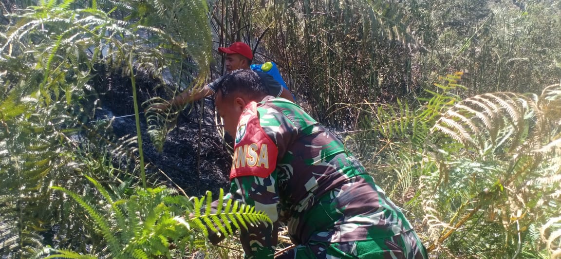 Terjadi kebakaran hutan di Kecamatan Pegasing TNI, Polri dan masyarakat Desa Lelumu Penuh Perjuangan Memadamkan Api