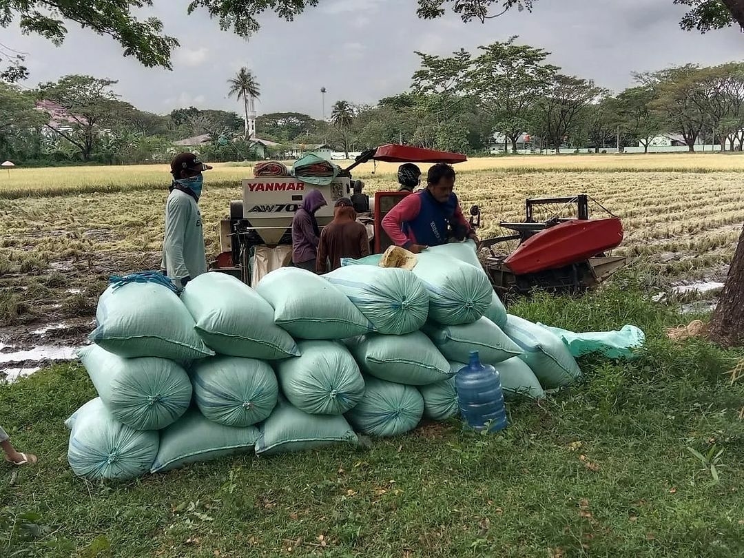 Brigif Para Raider 3 Kostrad Dukung Ketahanan Pangan di Masa Pandemi