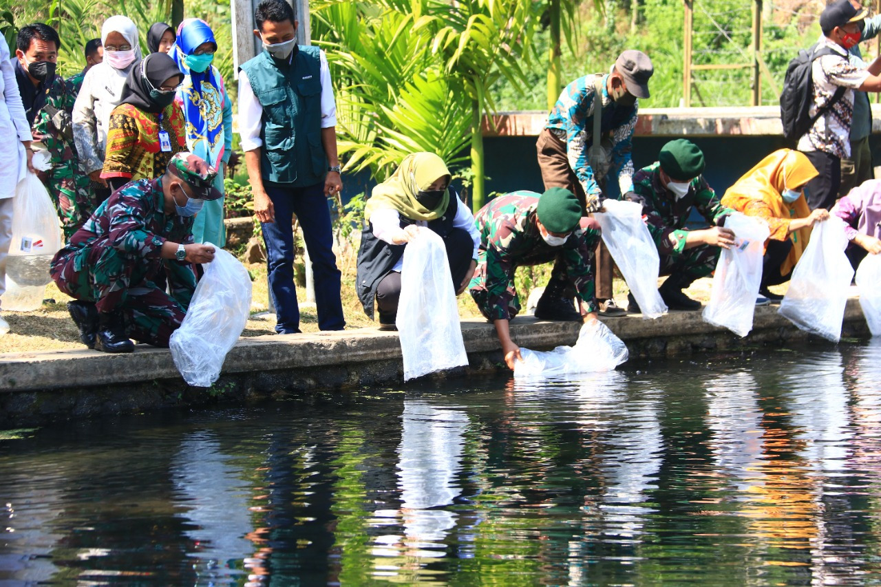 Meningkatkan Ketahanan Pangan, Divif 2 Kostrad Tebar 50.000 Benih Ikan