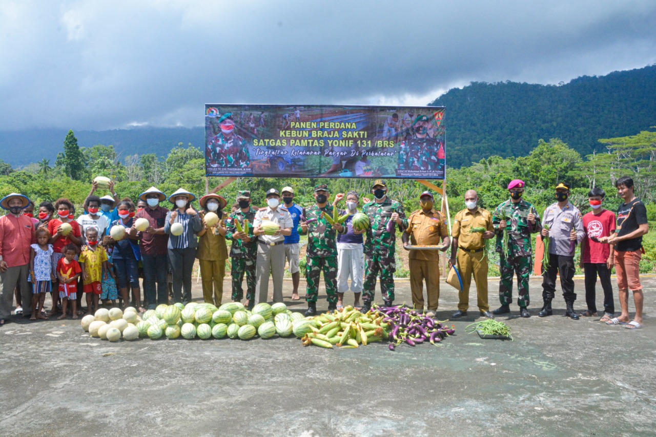 DANREM 172/PWY PANEN RAYA BERSMA MASYARAKAT DI KEBUN SATGAS PAMTAS YONIF 131/BRS