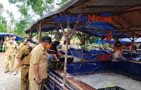 Usaha Ubur-Ubur Sangat Membantu Perekonomian Masyarakat Dimasa Pandemi Covid 19