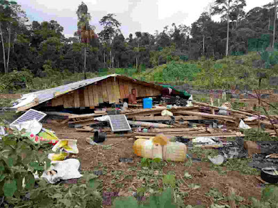 Gajah LIAR MENGUMUK LAGI RUMAH DAN TANAMAN HANCUR.