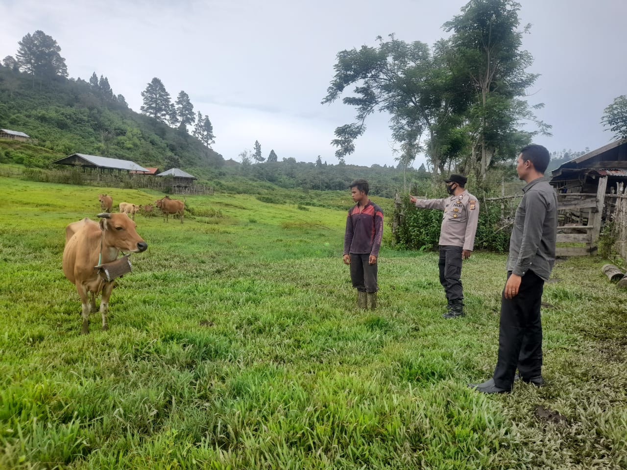 Cegah Wabah PMK (Penyakit Mulut dan Kuku), Polres Bener Meriah Awasi Hewan Ternak