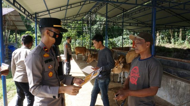 Kapolres Bener Meriah Gencar Berikan Sosialisasi dan Himbauan Tentang Wabah PMK yang menyerang Hewan Ternak 