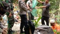 Kapolsek Bangun Resor Simalungun Pimpin Evakuasi Temuan Potongan Kaki Manusia di Sungai Nagori Karang Bangun