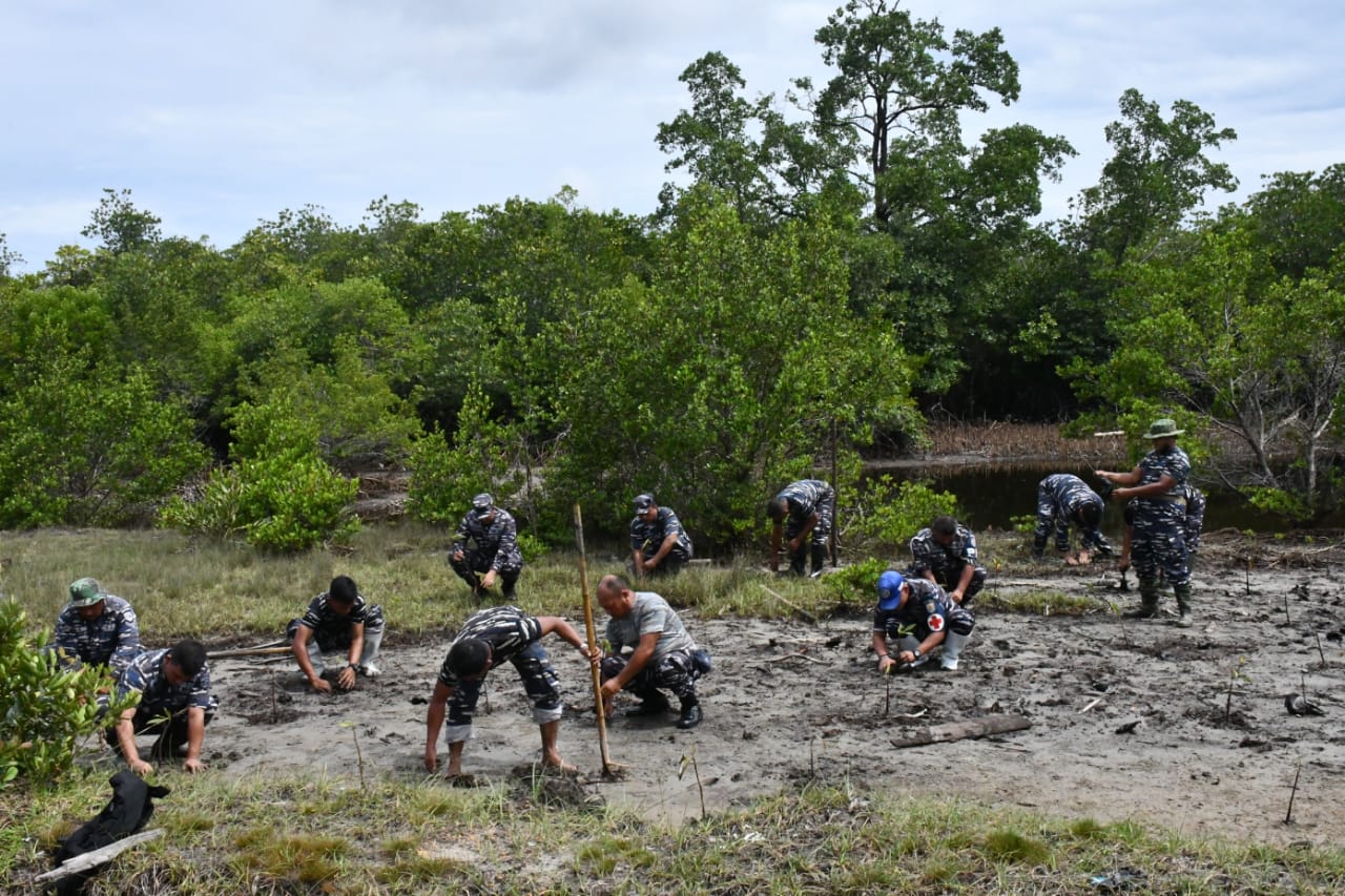 Jaga Ekosistem Pantai, Lanal Sibolga Tanam Mangrove Di Daerah Labuhan Angin