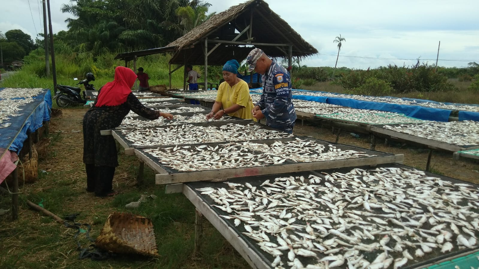 Dukung Usaha Warga, Babinpotmar Komsos Pengolahan Ikan Rebus