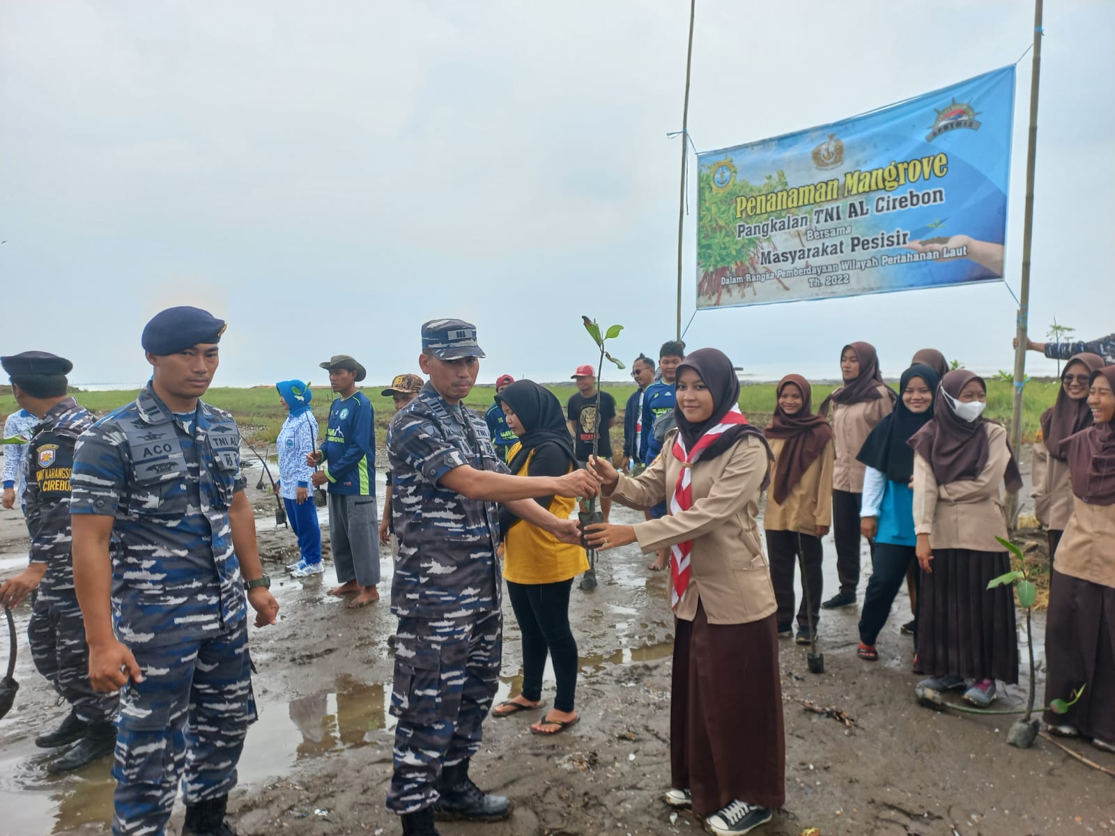 Jaga Kelestarian Pantai, Pangkalan TNI AL Cirebon dan Masyarakat Pesisir Tanam 1500 Pohon Mangrove