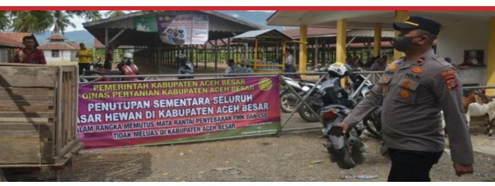 Cegah PMK meluas,pemkab Aceh Timur tutup pasar hewan.