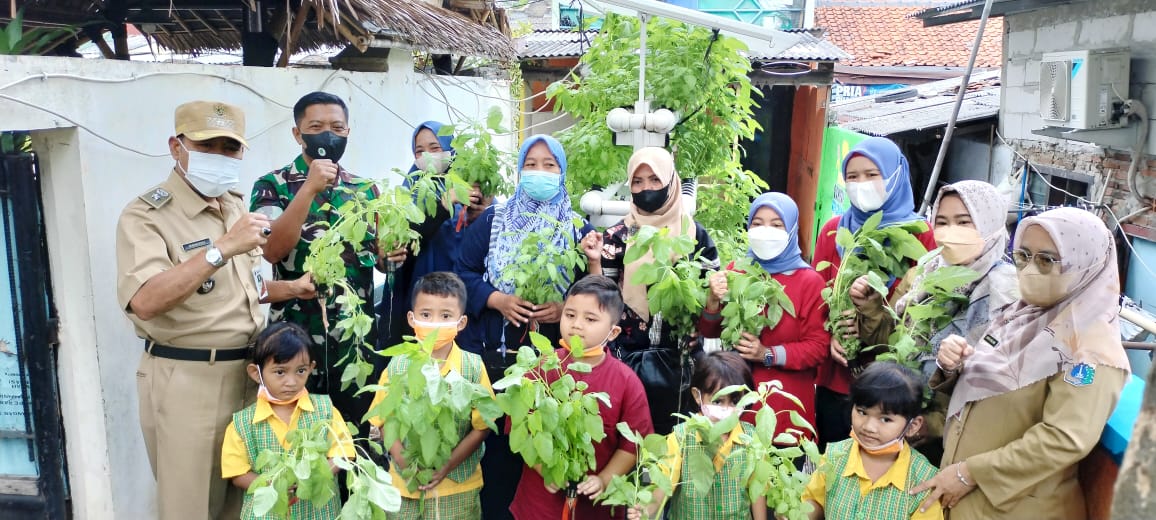 Babinsa Koramil 07 Kemayoran Monitor dan Bantu Warga Panen Sayur Hidroponik