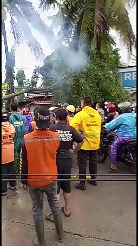 Di guyur Hujan Disertai Angin kencang Sore Ini,Di Depok mengakibatkan Pohon Tumbang ke Jalan Raya.”