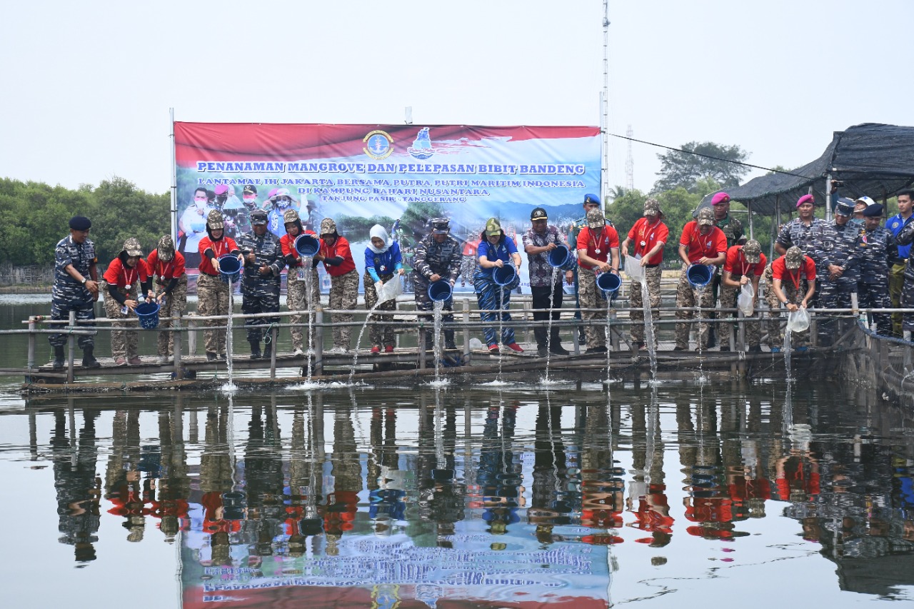 WUJUD NYATA KEPEDULIAN LINGKUNGAN, LANTAMAL III AJAK TANAM MANGROVE BERSAMA PUTRA MARITIM INDONESIA DI TANJUNG PASIR