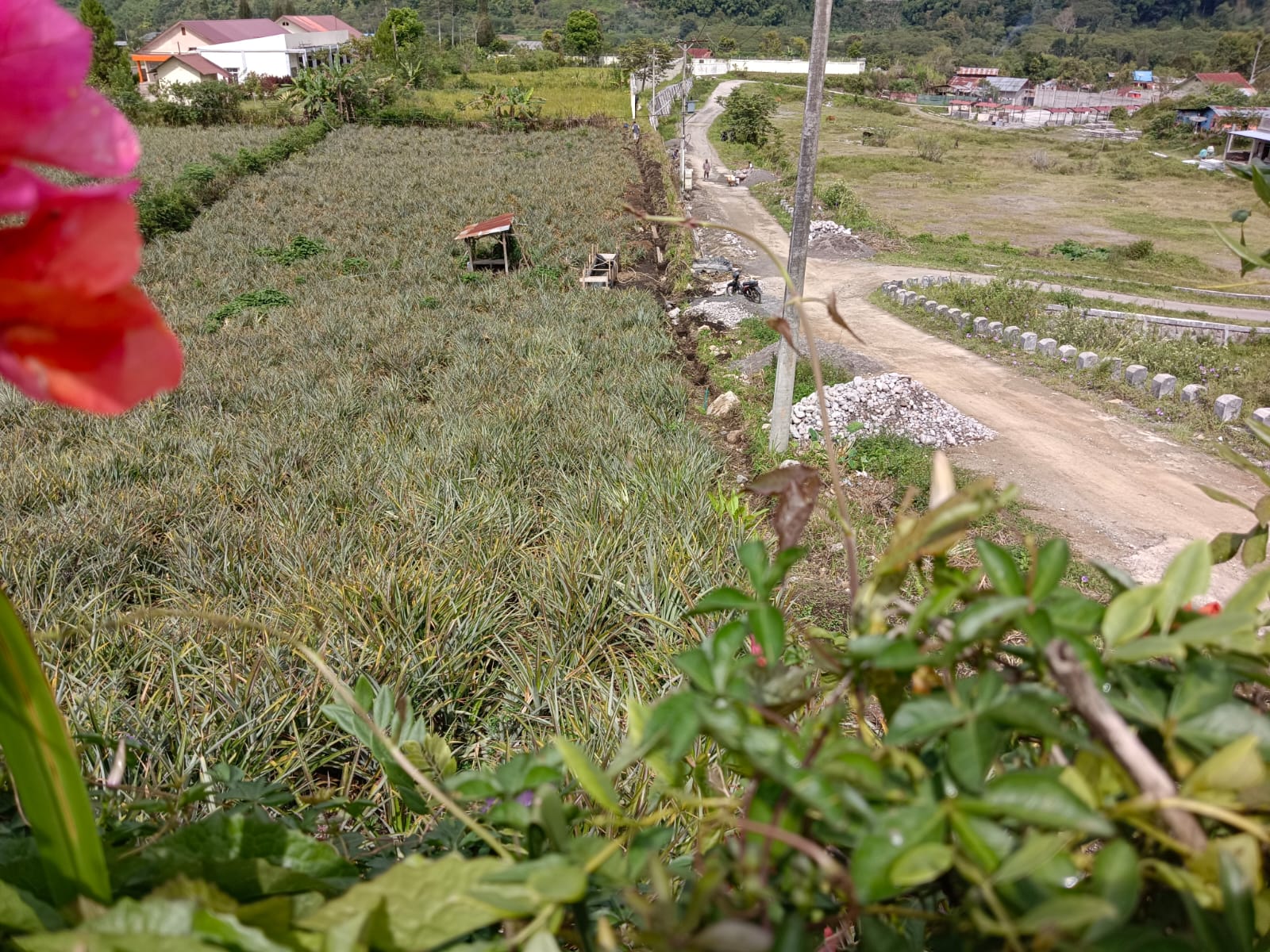 Di duga Pembangunan Pagar Beton Kantor BLK Aceh Tengah Menyerobot Tanah Milik Masyarakat