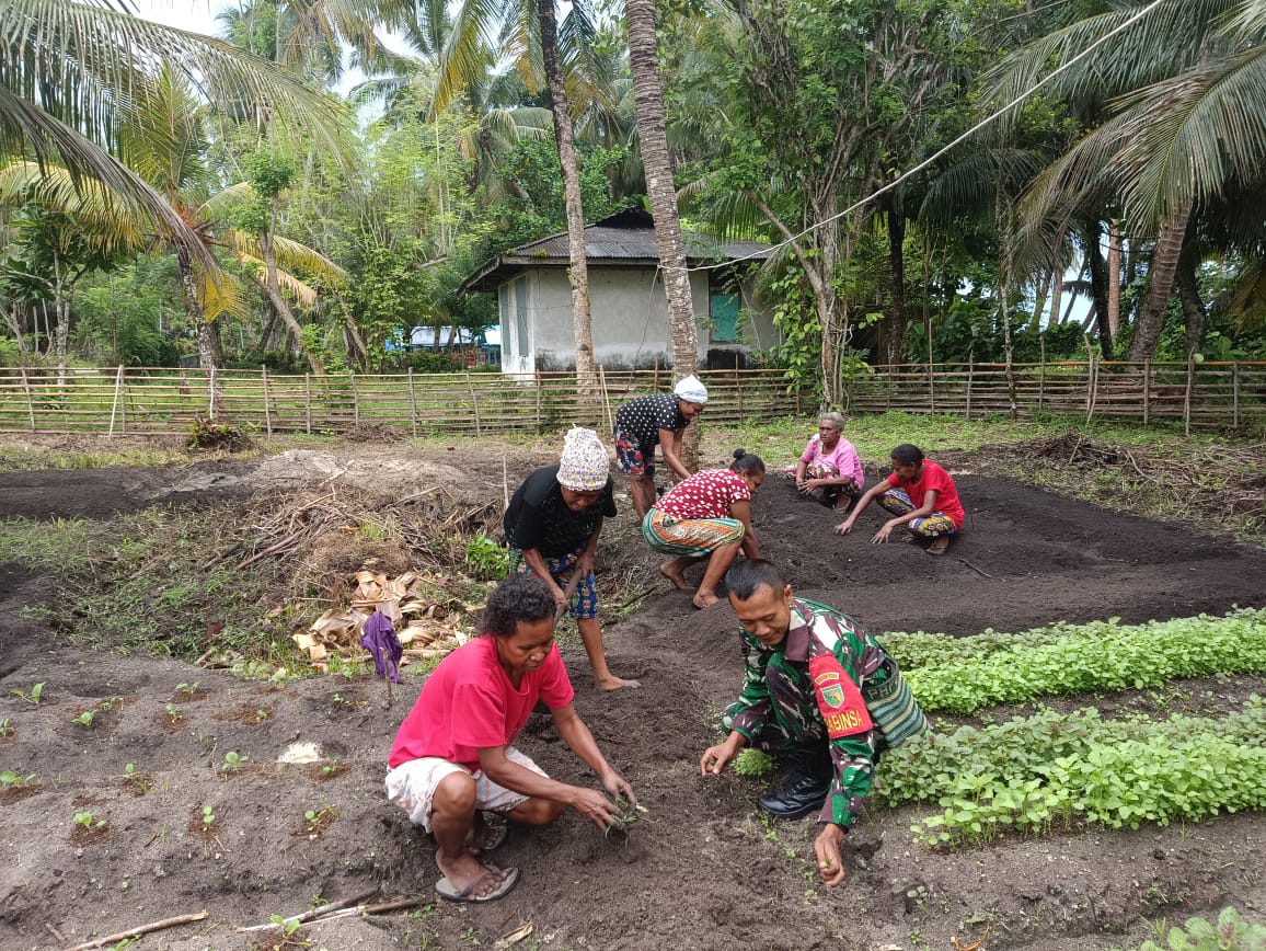 “BABINSA BERSAMA KELOMPOK TANI SIAPKAN LAHAN PENANAMAN CABAI RAWIT DI WILAYAH BINAAN”