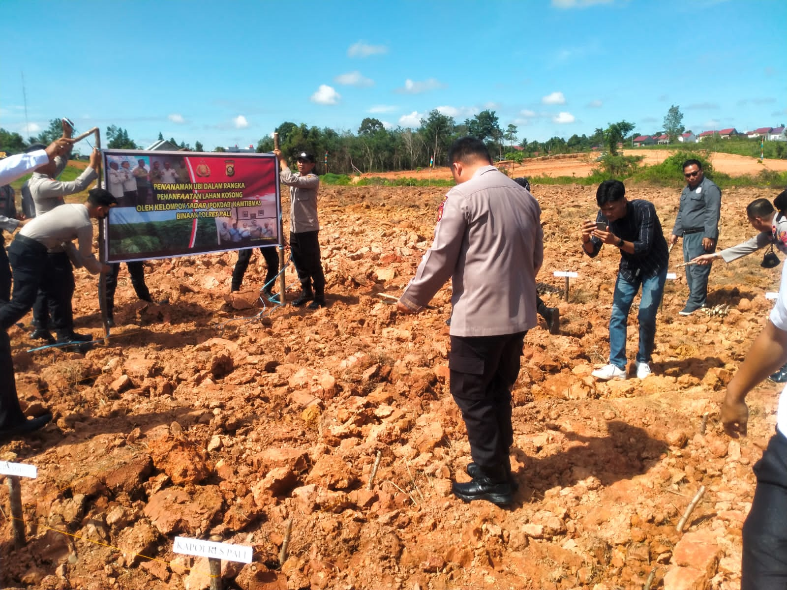 Manfaatkan Lahan kosong Menjadi lahan produktif Pokdar Kamtibmas Polres PALI Menanam Ubi Kayu