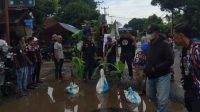 Kekecewaan Warga Berujung Aksi Tanam Pohon Pisang Ditengah Jalan Rusak