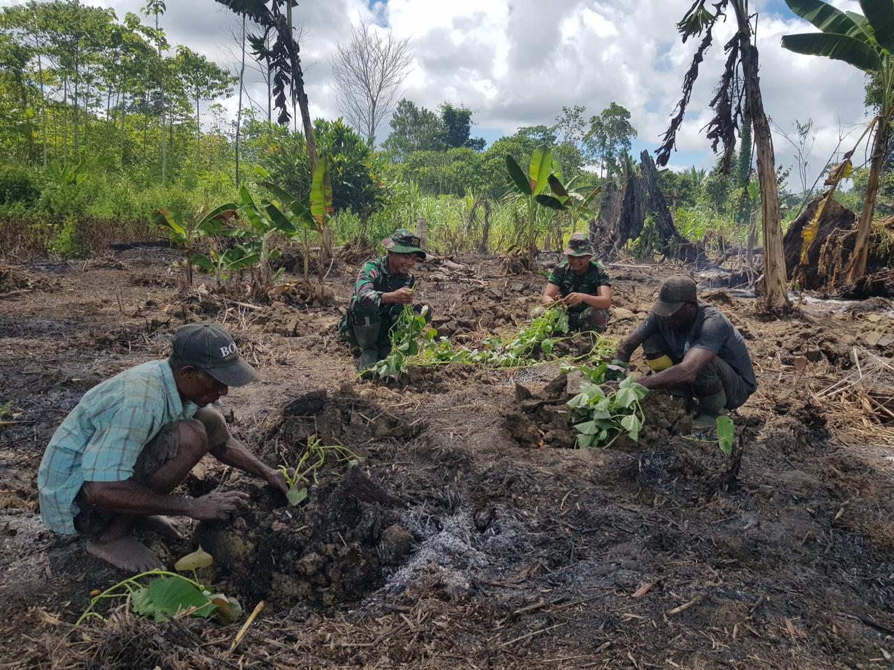 Sukseskan Ketahanan Pangan, Satgas Yonif 143/TWEJ Buka Lahan Kosong dan Berkebun di Perbatasan RI