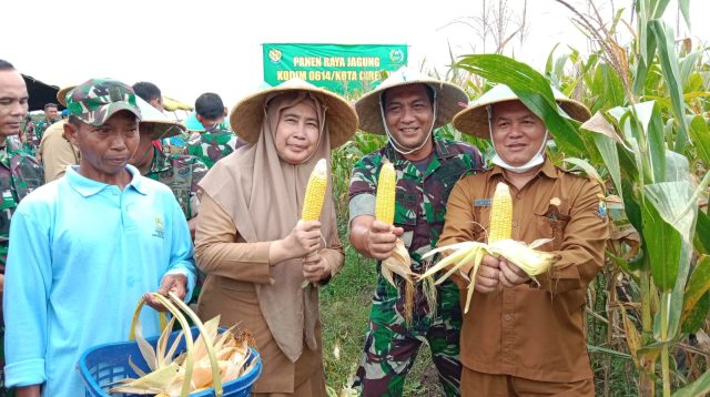 Kodim 0614/Kota Cirebon adakan panen raya jagung