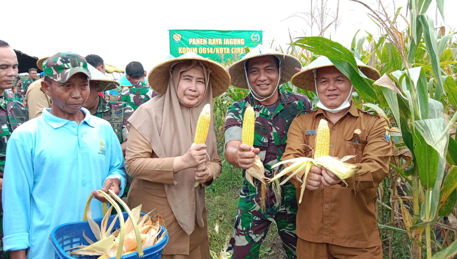 Kodim 0614/Kota Cirebon adakan panen raya jagung