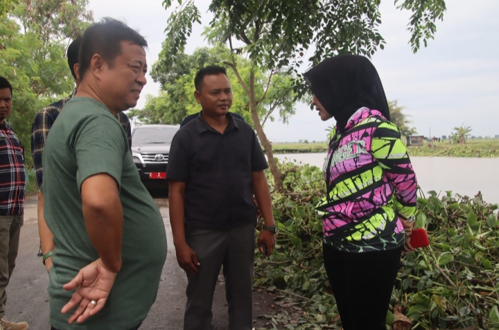 Sungai Timaritis Di Penuhi Eceng Gondok, Wabup Cirebon Sigap Tanggapi Keluhan Warga