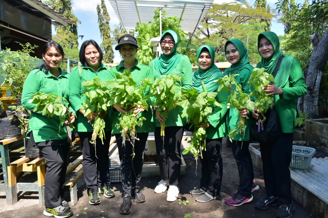 Persit Kartika Chandra Kirana Cabang XV Kodim 0501/PD Jaya Panen di Lahan Food Estate