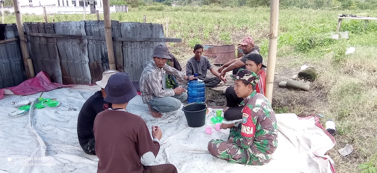 Saling Bertukar Informasi: Babinsa Sambangi Area Perkebunan Warga Binaan