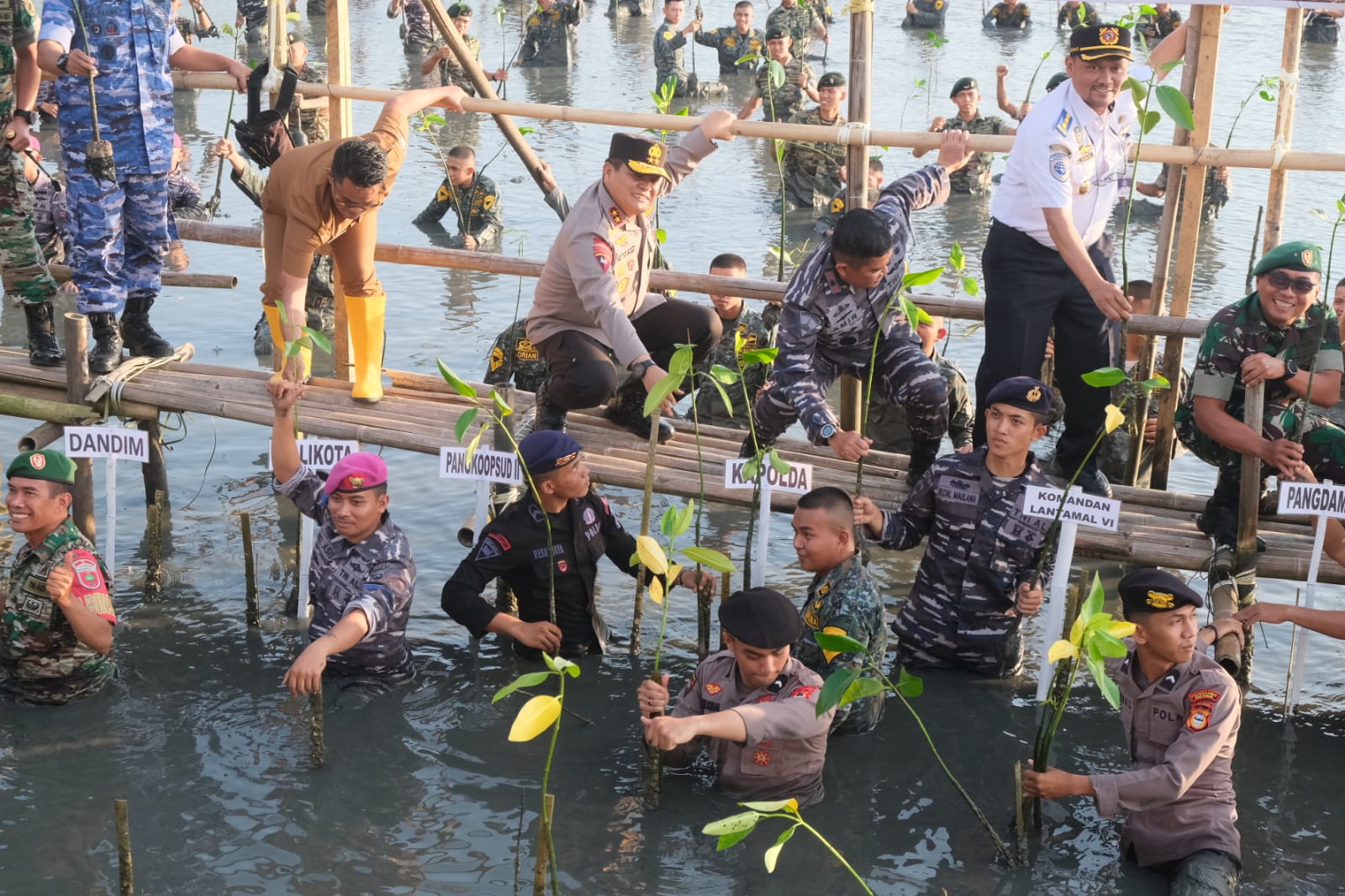 Kapolda Sulsel Hadiri Penanaman Mangrove Nasional di Kampung Bahari Untia Kampus PIP Salodong Makassar