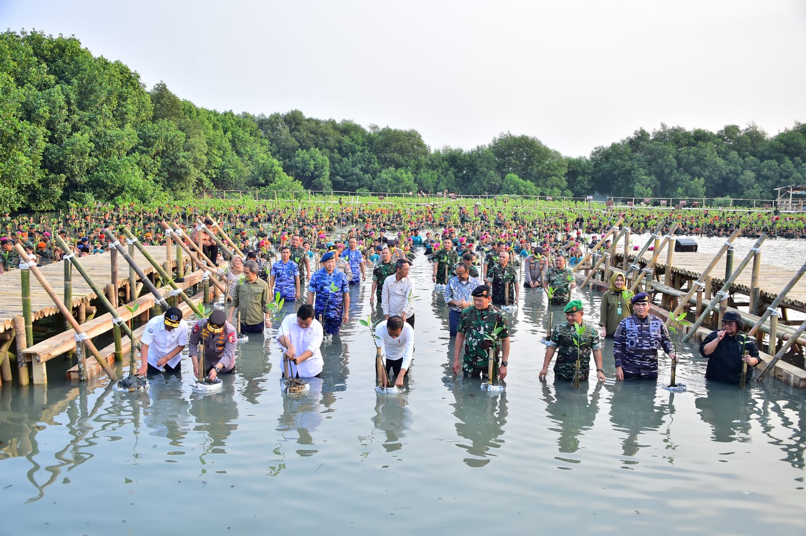 Pangkoarmada RI Ikuti Penanaman Mangrove Nasional Secara Serentak Oleh Jajaran TNI-Polri