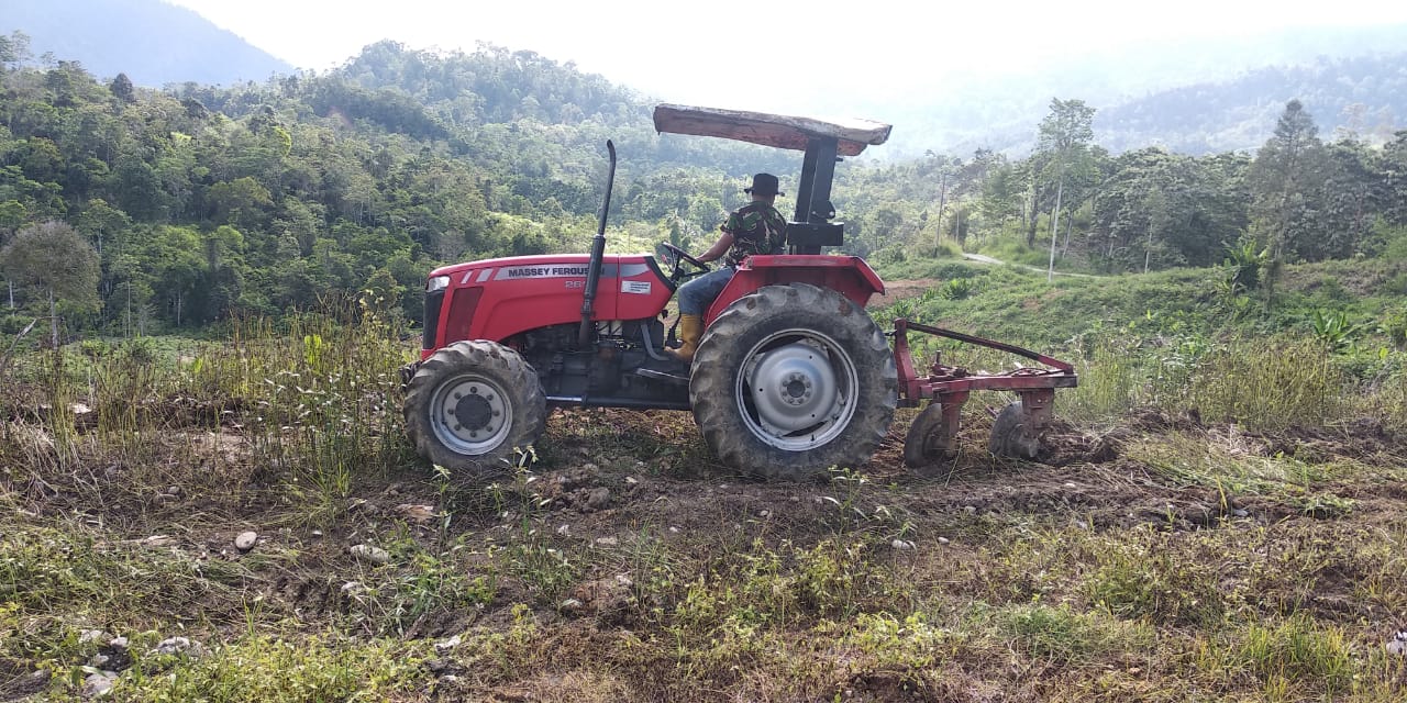 Pendim BM:Kodim 0119/BM Dongkrak Ketahanan Pangan Jagung   Keizalinnews,com: Redelong – Guna memenuhi ketersedian bahan pangan jagung (jenis bibit Pionir 32), Kodim 0119/BM mempersiapkan Lahan seluas ± 20 Hektar yang akan ditanam di Desa Wih Duren Kecamatan Syiah utama, Kabupaten Bener Meriah” Minggu 21 Mei 2023.  Komandan Kodim 0119/BM Letkol Inf Eko Wahyu Sugiarto M.Han, melalui Perwira Seksi Teritorial (Pasi Ter) Kapten Inf Takdir, saat dikonfirmasi menyampaikan” Lahan yang sedang dibersihkan oleh personil TNI tersebut adalah milik masyarakat setempat yang nantinya akan ditanami jagung jenis Pionir 32.  Lanjutnya “kegiatan penyiapan lahan ini, terus dipacu oleh personil TNI, dari Koramil 01/Bandar, guna percepat masa tanam yang mana harapannya  jagung yang ditanam dapat mendongkrak Hanpangan di wilayah Bener Meriah” Ujarnya  Dikatakan Pasi Ter” Program ini bukan hanya di Kabupaten Bener Meriah saja namun satuan kewilayahan teritorial jajaran Kodam Iskandar Muda melaksanakan, untuk membantu Pemda  dalam menyediakan setok pangan jagung tersebut.   Dipilihnya Bibit Jagung Pionir 32 karena mudah perawatannya dan keuntungannya juga sangat menjanjikan, selain menghasilkan buah yang bagus, batang dan daunnya juga dapat dimanfaatkan untuk pakan hewan ternak.  Kita berharap” Nantinya tanaman jagung ini, dapat tumbuh subur, dan menghasilkan panen yang berlimpah, sehingga setok ketahan pangan di Kota berhawa sejuk ini selalu tersedia dan nilai ekonomisnya dapat dirasakan para petani. Pungkasnya.(M,s)