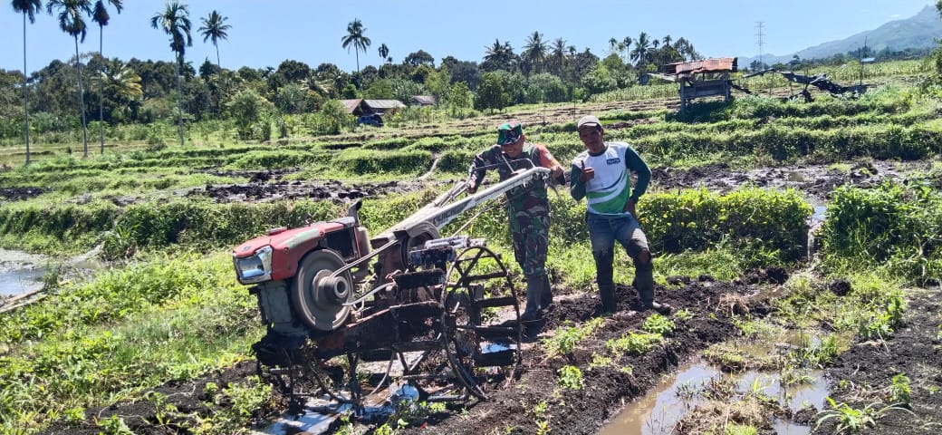 Minggu Produktif, Babinsa bersama Petani Bajak Sawah