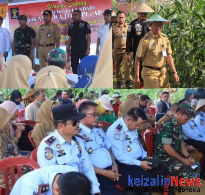 Pj Wali Kota Kendari dan Kakanwil Kemenkumham Prov. Sultra, Hadiri Panen Raya Kelompok Tani di Lapas Kelas II A Kota Kendari .