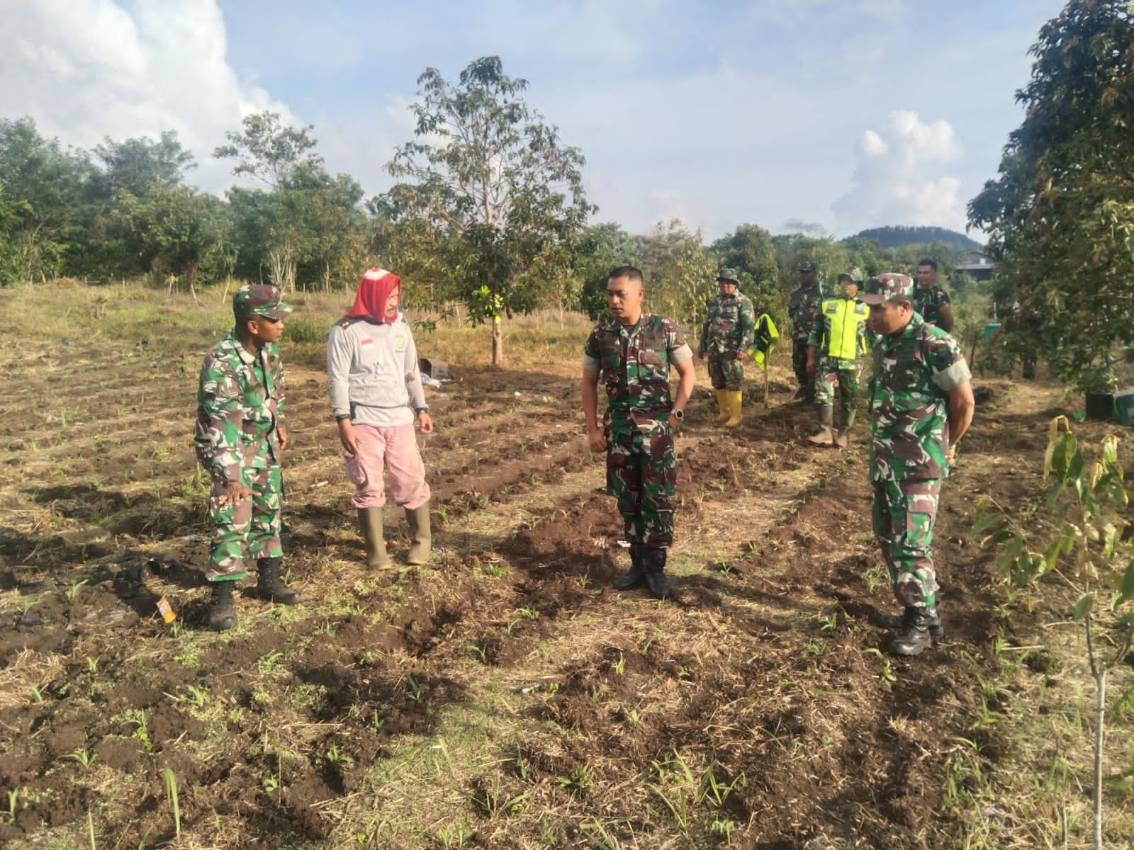 Dandim 0119/BM Tinjau I’M Jagung Pasca Penanaman Serentak di Atas Lahan 1 Ha di Desa Blang Rakal