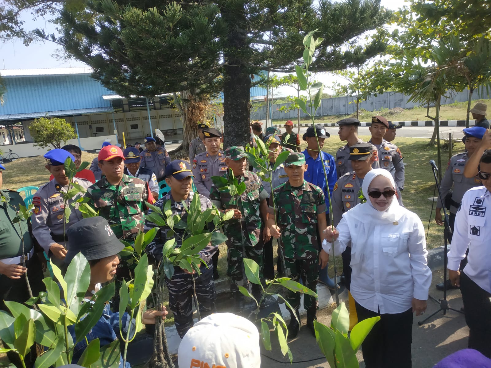 Kasdim 0614/Kota Cirebon Ikut Tanam Mangrove Dalam Peringatan MAMO MY DARLING (Mari Move One Masyarakat Sadar Lingkungan) ke-5 Dalam Rangka Hari Mangrove Dunia Tingkat Nasional Kota Cirebon.