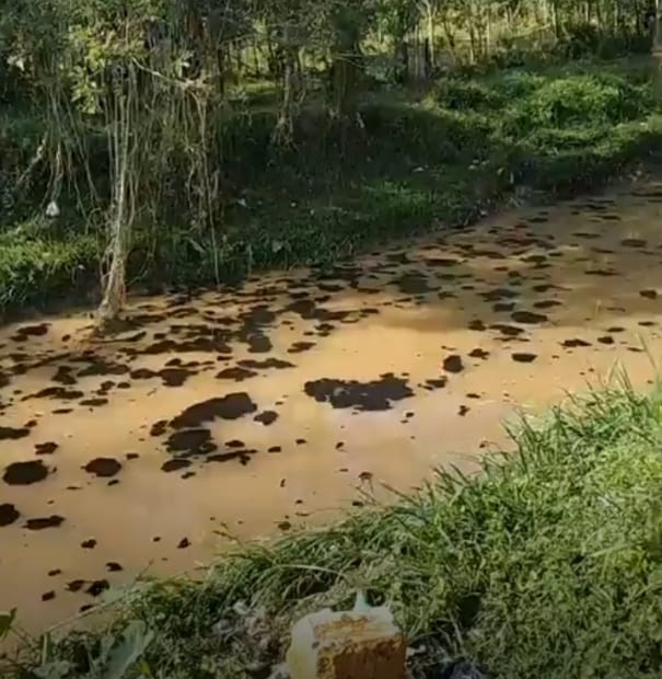 Minyak Mentah Cemari Sungai Kelakar Kesehatan Warga Sekitar Terancam