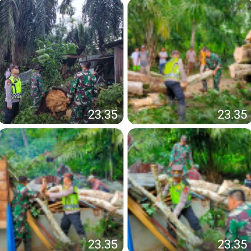 Pohon Tumbang Timpa Rumah Warga, Kapolsek Indra Makmu Langsung Beraksi