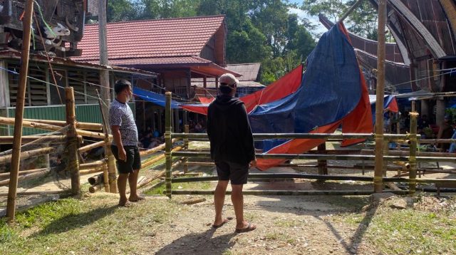 Dalam Sehari, Jajaran Polres Toraja Utara Bubarkan Praktek Sabung Ayam di 4 Lokasi