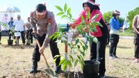 Polri Catat Rekor MURI Tanam Pohon Serentak Dan Terbanyak, Jajaran Polda Sulsel Tanam 41.086 Pohon