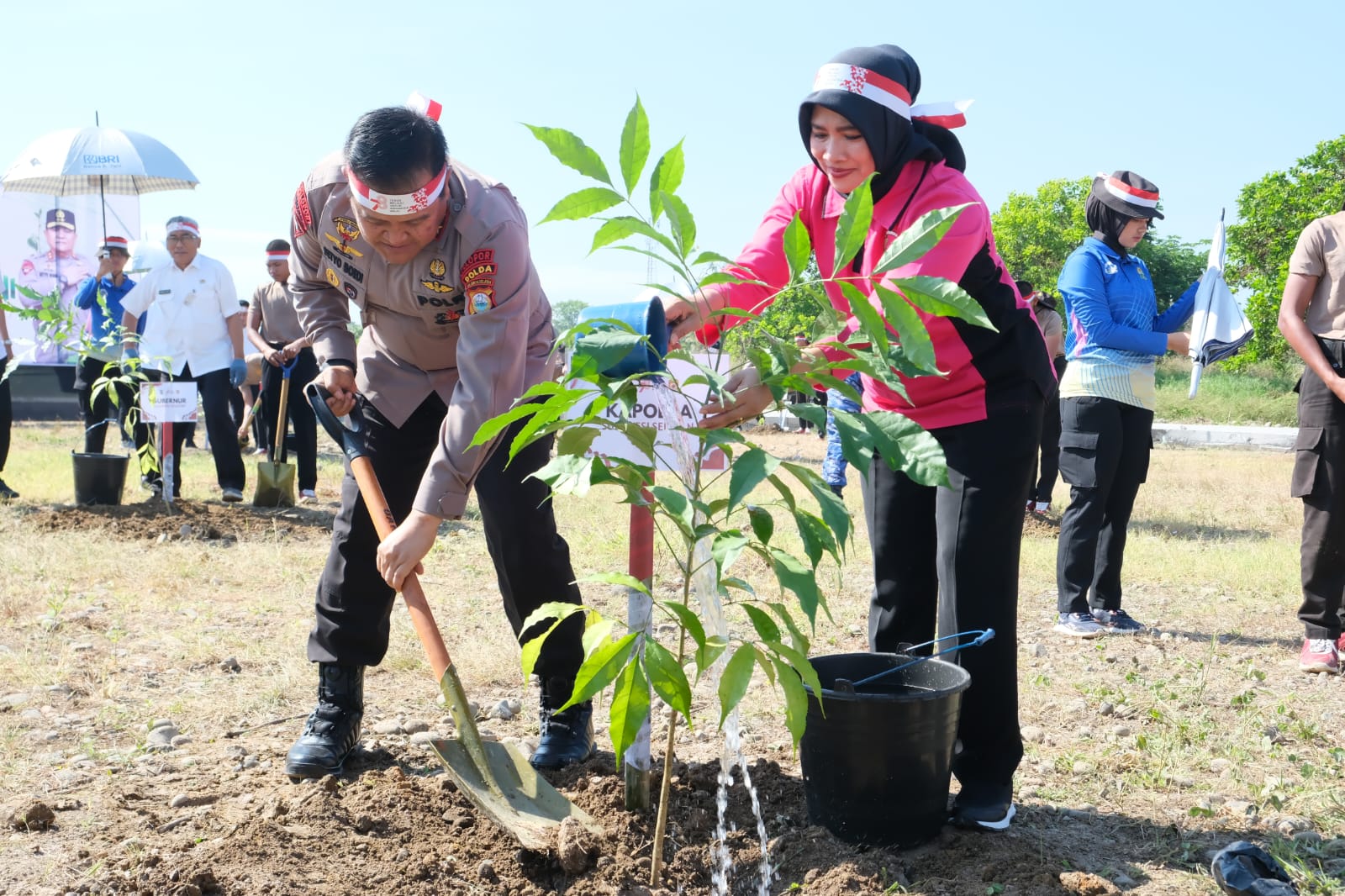 Polri Catat Rekor MURI Tanam Pohon Serentak Dan Terbanyak, Jajaran Polda Sulsel Tanam 41.086 Pohon