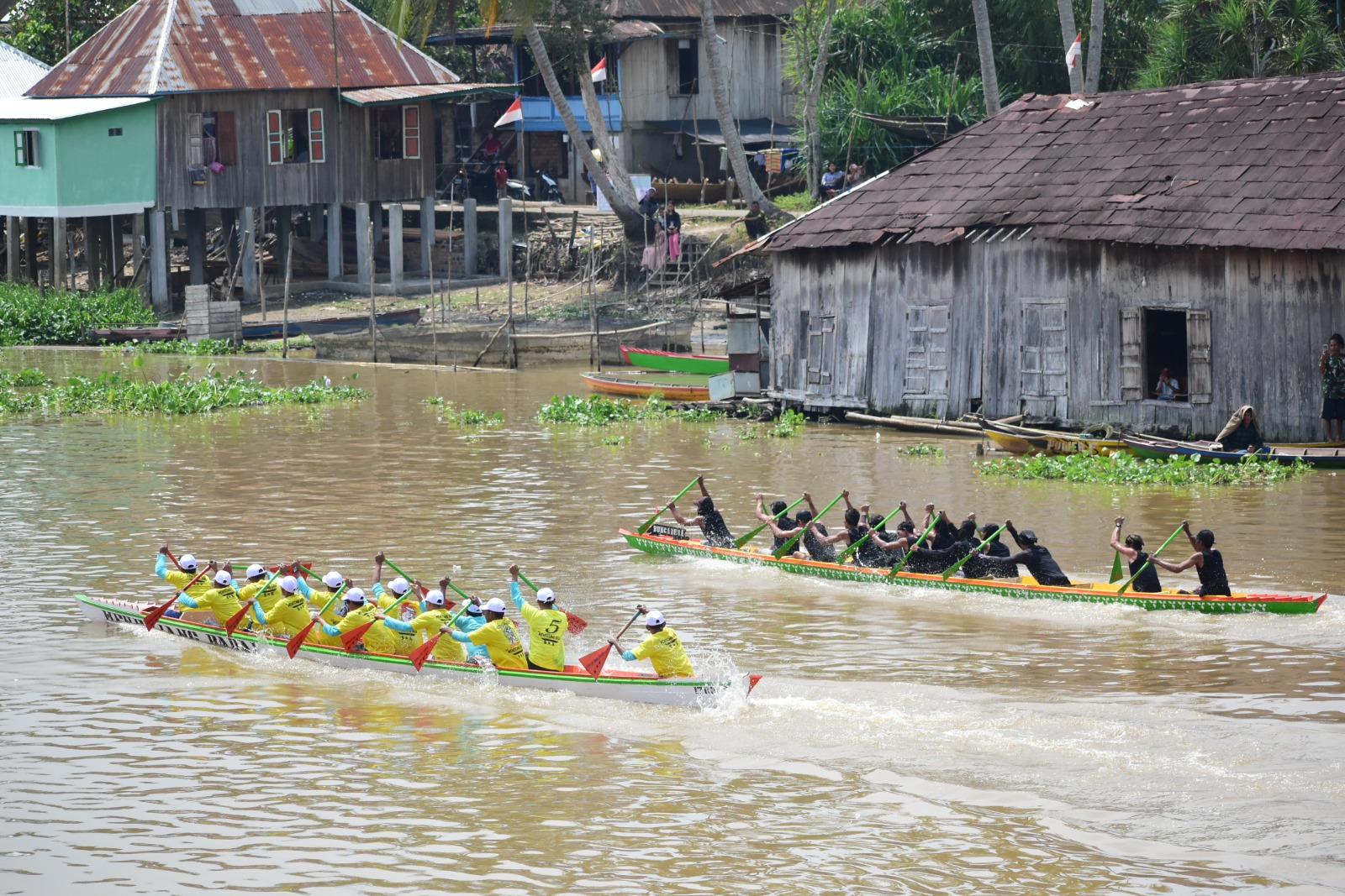 Serunya Lomba Kebut Perahu Berhadiah Sapi dan Kerbau di Sungai Babatan