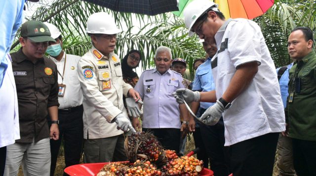 Hasil Meningkat, Panen Lebih Cepat