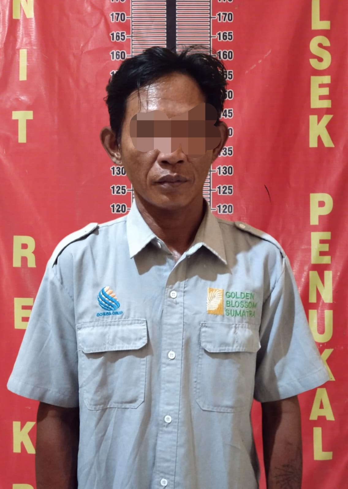 Seorang Oknum Mandor PT GBS, Diamankan Polsek Penukal Abab, Diduga Kasus Pengancaman