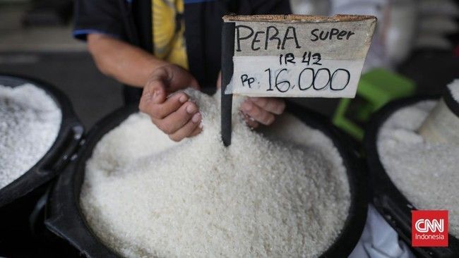 Heran KSP soal Harga Beras Mahal di Pedagang Saat Murah di Pasar Induk