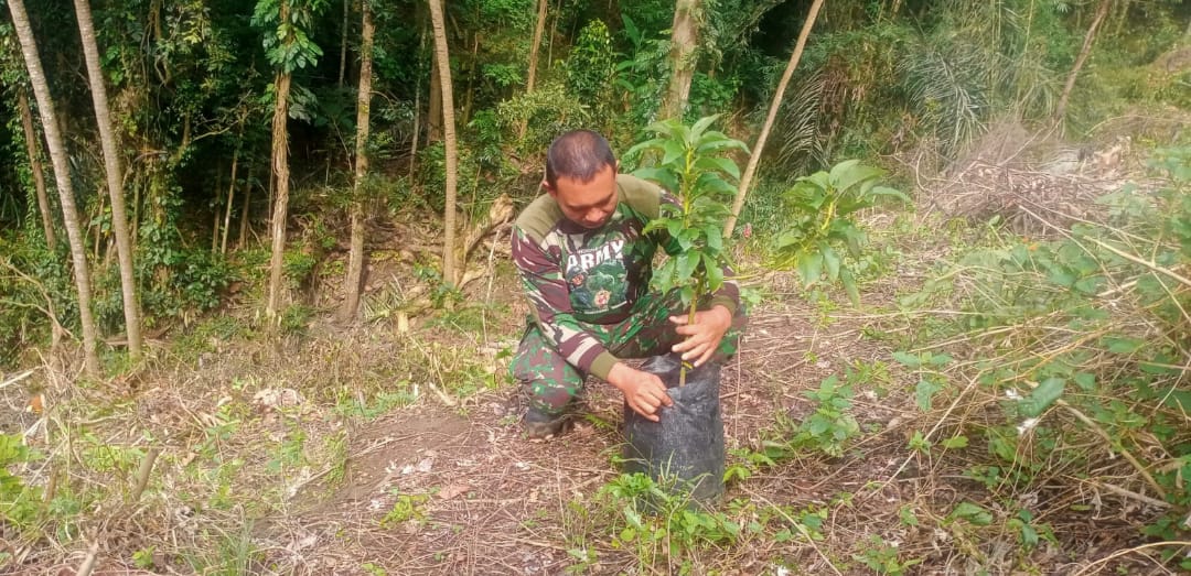 TNI Manunggal Membangun Desa Ke-119 Tanam 150 Pohon Alpukat di Desa Selumbung