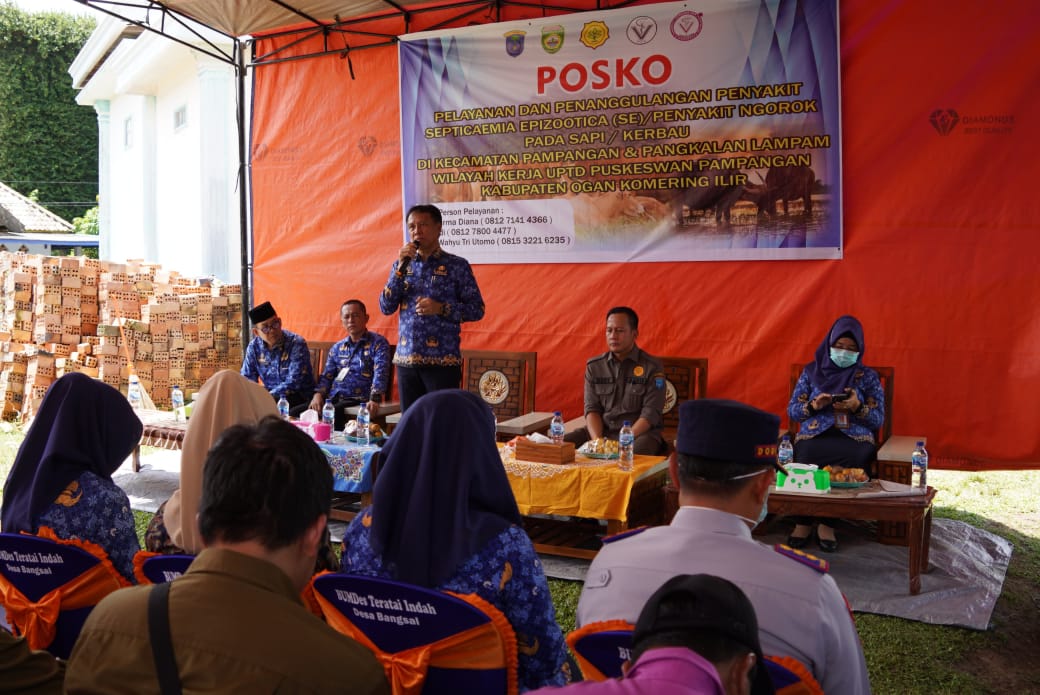 Pastikan Penanganan Wabah Penyakit Kerbau, Pj Bupati Asmar Pantau Langsung di Lapangan