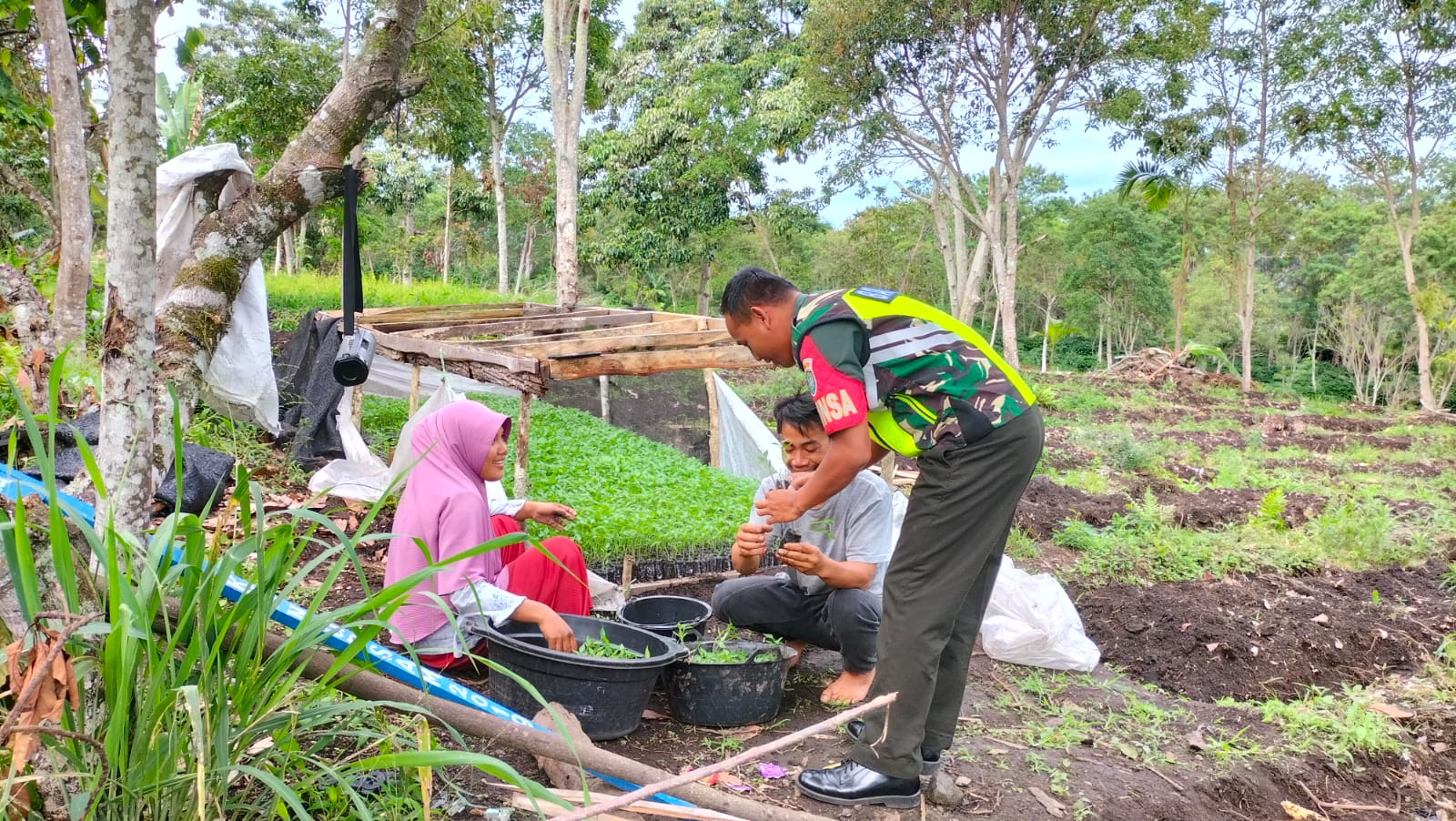 Babinsa: Dukung Ketahanan Pangan Petani Cabe