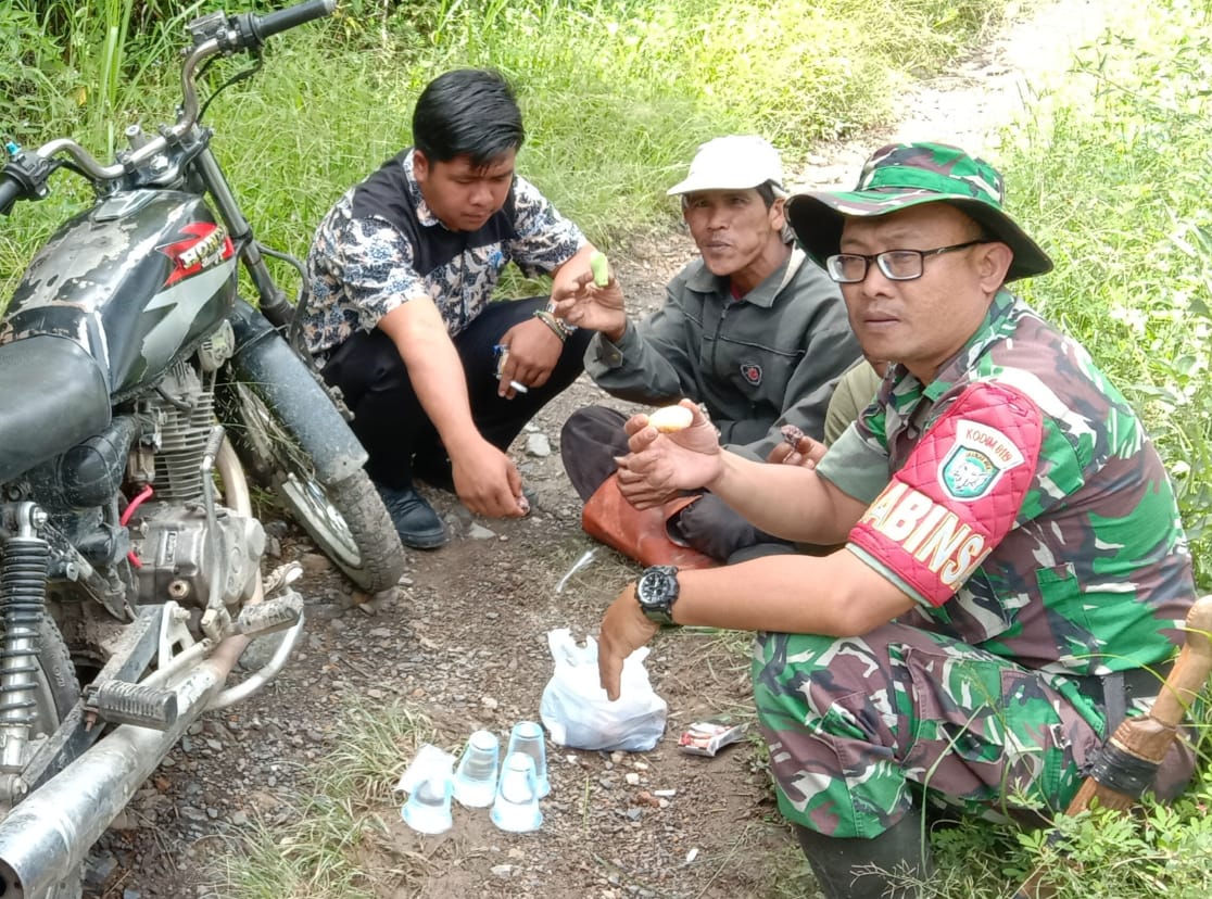 Babinsa Sambangi Petani di Kebun Kopi