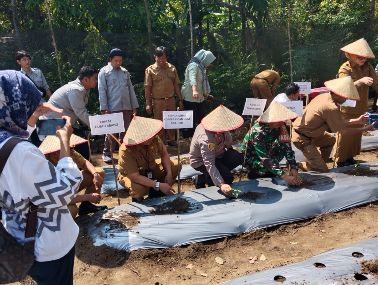 Kapolsek Tanah Abang Hadiri Zoom Meeting Gerakan Tanam Serentak Cabai dan Bawang Merah Serentak di Sumsel