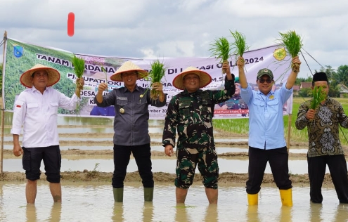 Kementan Target Cetak 125 Ribu Hektare Sawah Baru di OKI  