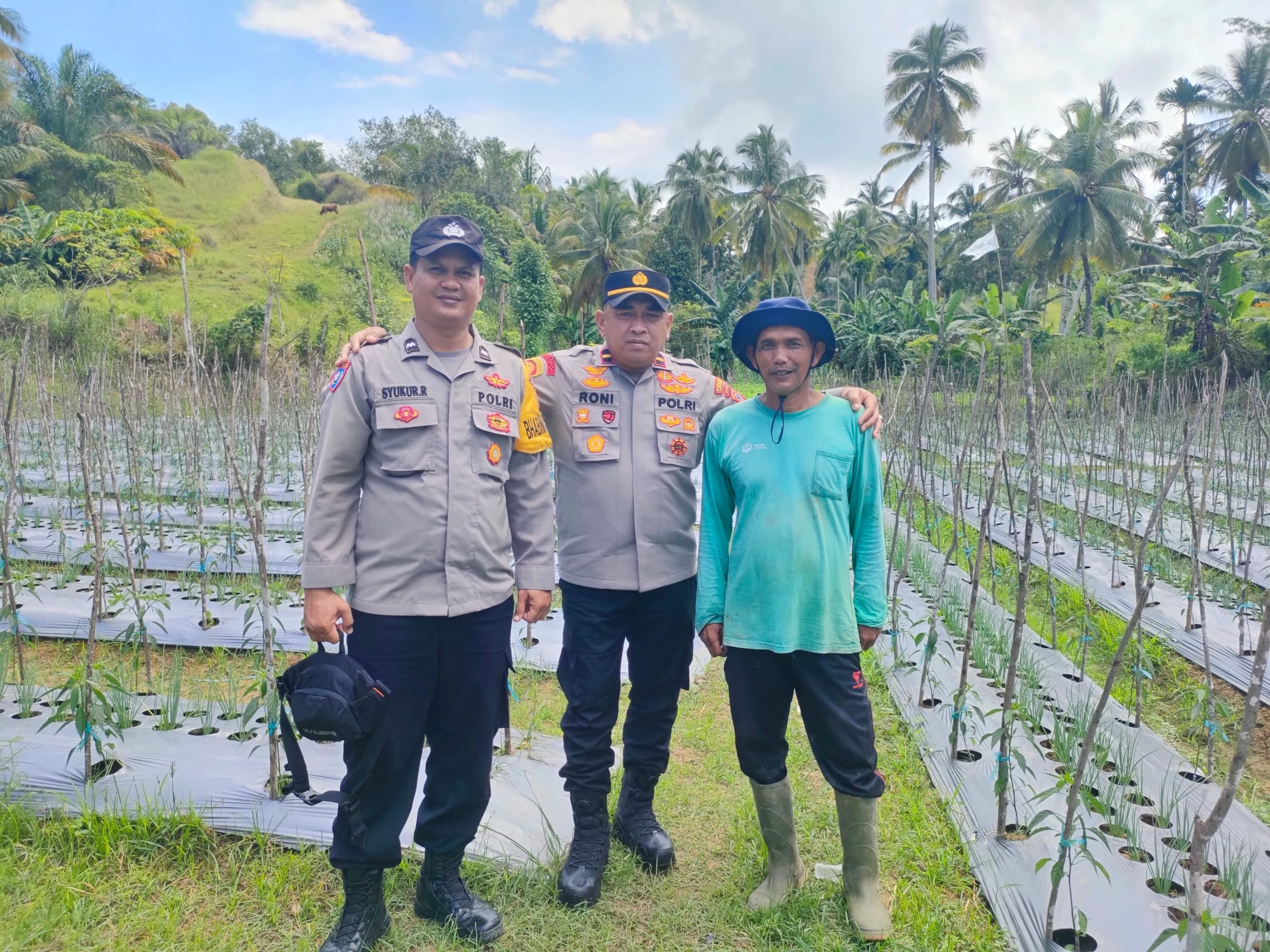 Dukung Ketahanan Pangan, Kapolsek Muara Dua Kunjungi Kelompok Tani Udep Beusaree